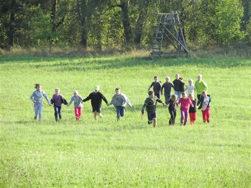 Obrázek v galerii